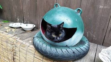 テラス / パティオ / 13