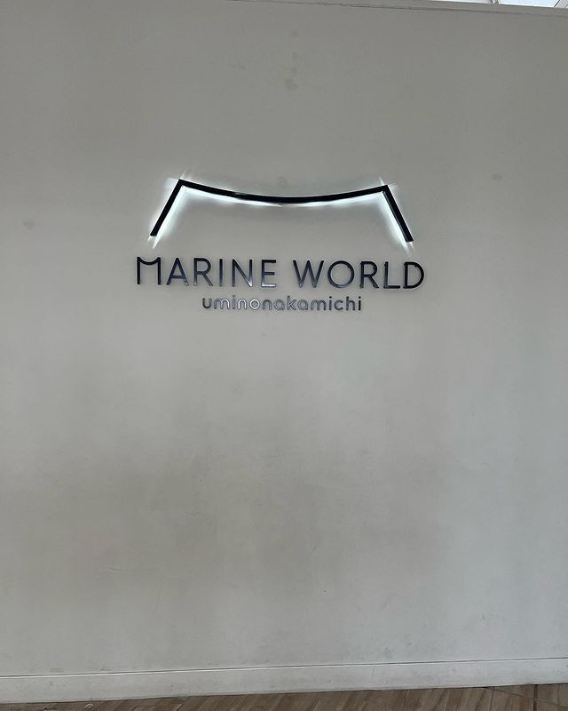 chihiro_s.k.rさんの写真 / 5