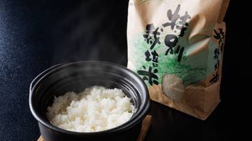 食事・飲み物 / 11