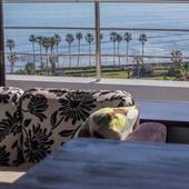 The Little Garden（ザ リトルガーデン）（宮崎県 ペンション） / 2