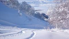 Nozawa Dream Central