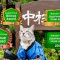 ○1日3組様限定○さき楽30日前・早めの予約で500円オフv(^∀^*)5種類の貸切風呂＆囲炉裏御膳 | 草津温泉　中村屋旅館