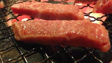 レストラン / 16