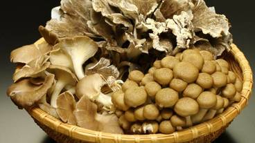 食事・飲み物 / 1