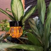 ホテル ピースランド久米（沖縄県 ビジネスホテル） / 5