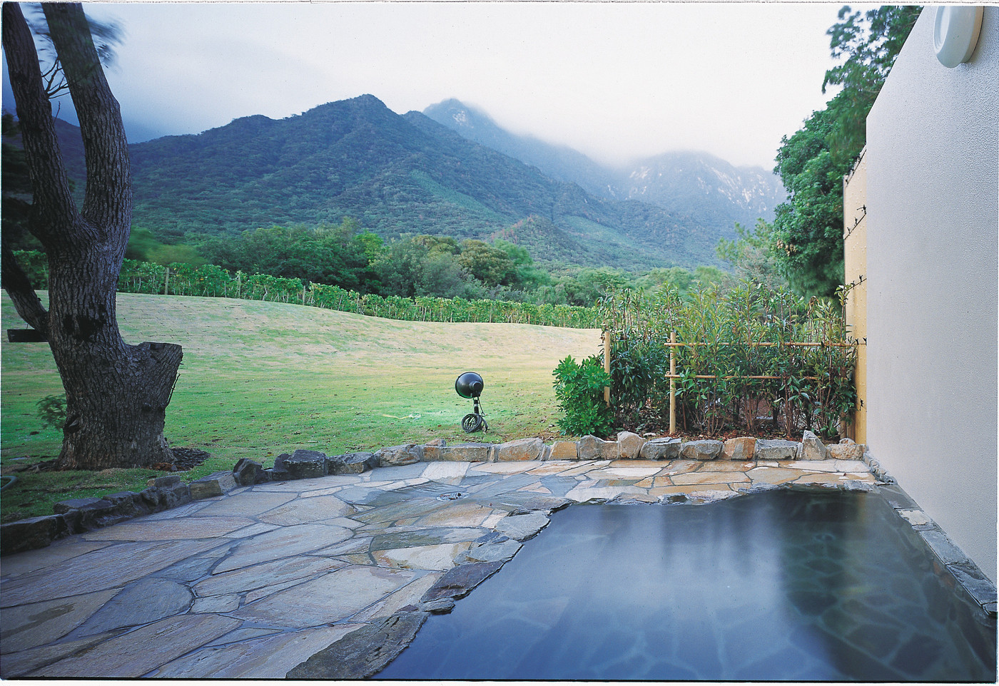 迫力満点！屋久杉のパワーを感じるホテル3437644