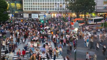 観光スポット / 5