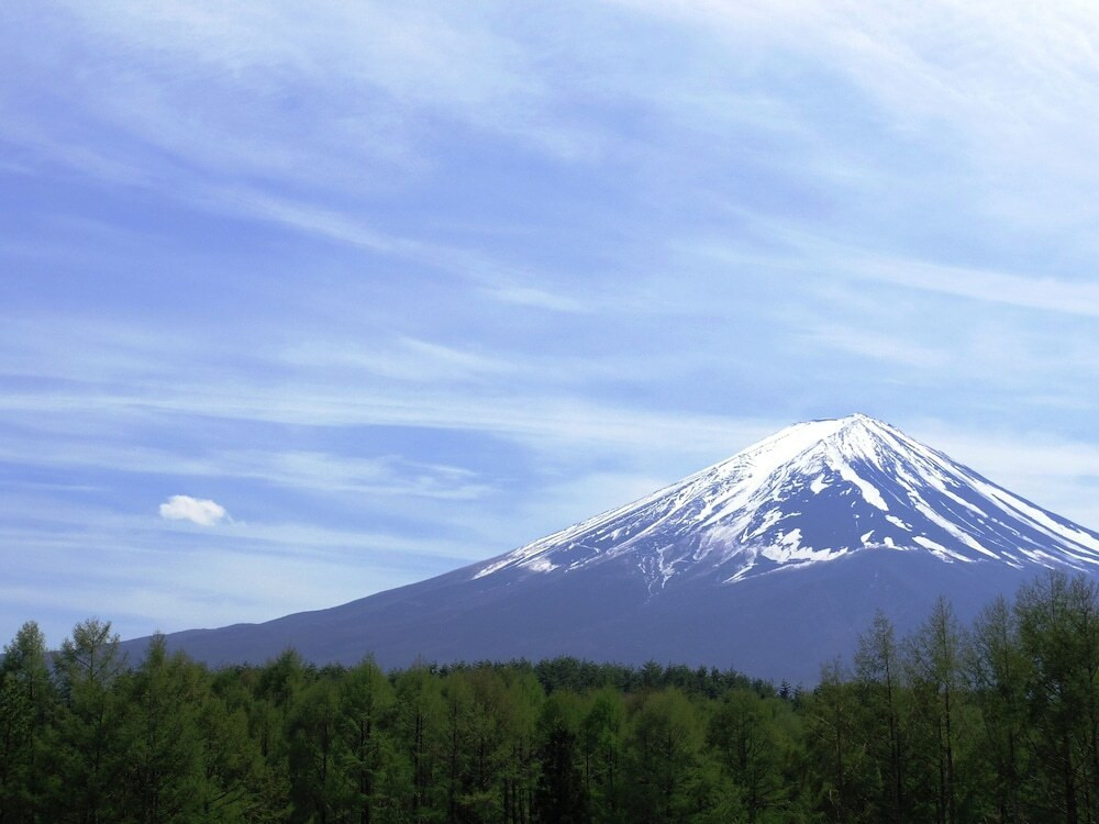 施設からの眺望