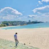 白浜憩いの里泊り木(和歌山県 リゾートホテル) / 4