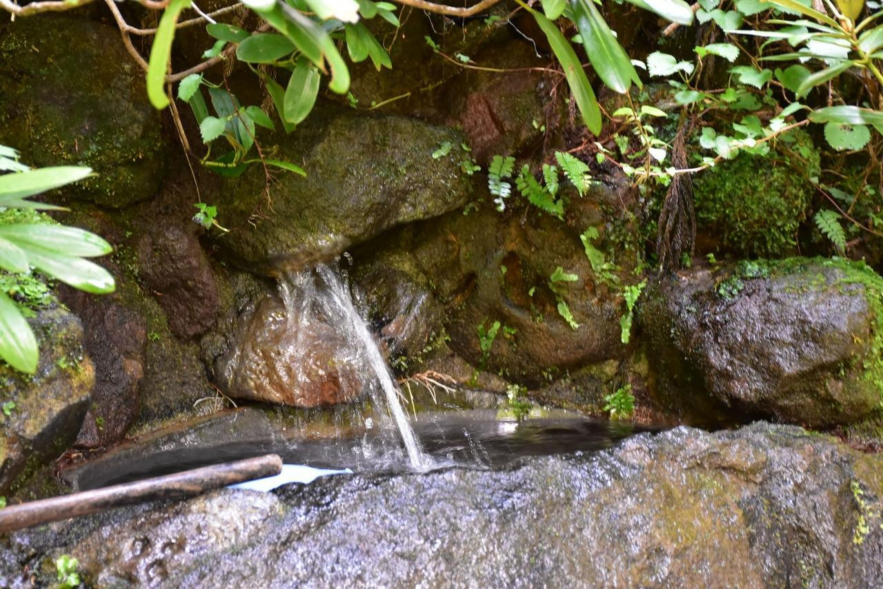 4. 絶景にパワースポットも！透明すぎる神秘の湖「龍ヶ窪（りゅうがくぼ）」1738616