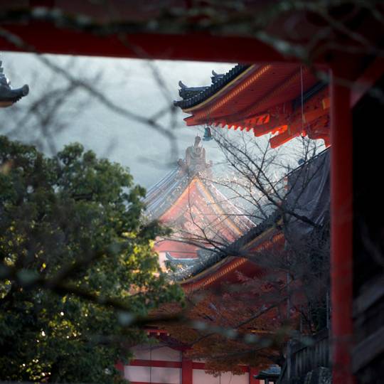 「清水寺」まで
ゆるりと散策 / 2