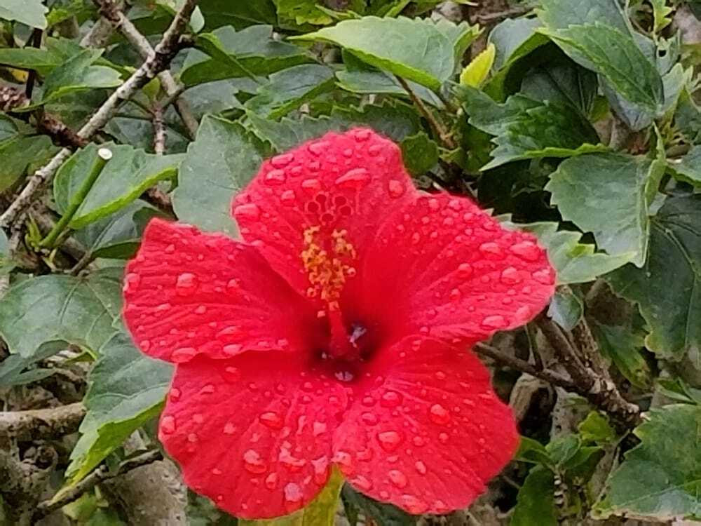 施設からの眺望