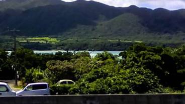 マウンテン ビュー / 7