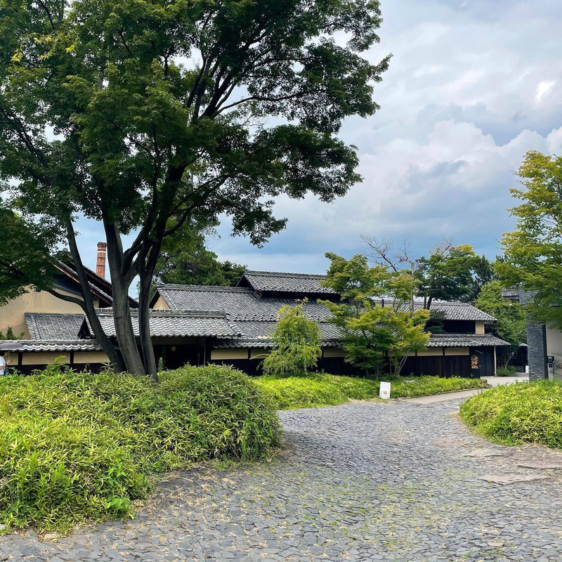 keikoggiさんの写真 / 3