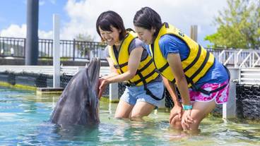 子供向けアクティビティ / 9