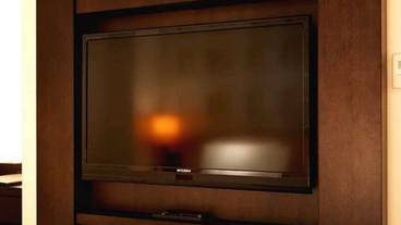 客室の設備とサービス / 31