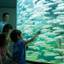 琵琶湖周辺の子連れにおすすめホテル・旅館11選。ファミリーで楽しもう！／滋賀