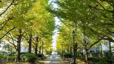 施設からの眺望 / 20