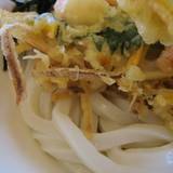 たらいうどん 山のせ 松茂店(タライウドンヤマノセ)