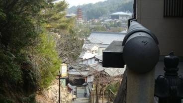 施設の敷地 / 17