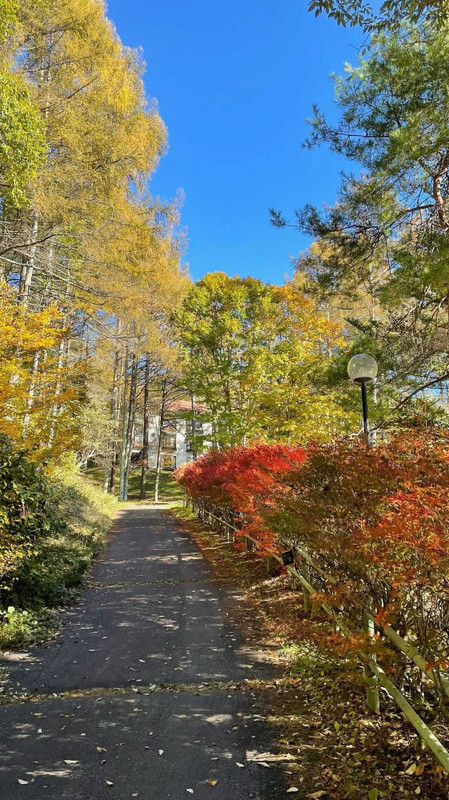 i.am.izumiさんの写真 / 7