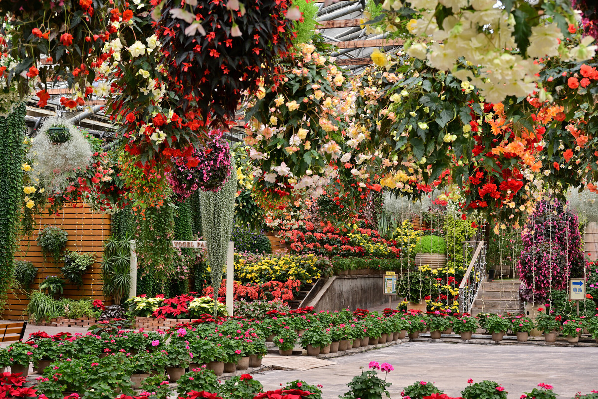 松江フォーゲルパーク