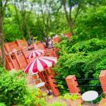 鎌倉の天空カフェ「樹ガーデン」のテラスでゆっくり森林浴♪