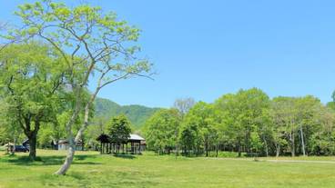 バーベキュー / ピクニック エリア / 8