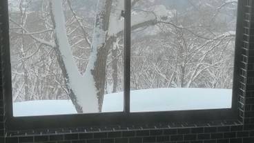 建物のデザイン / 18