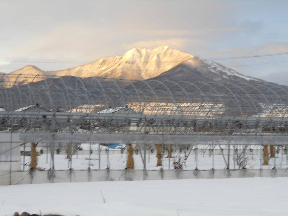 マウンテン ビュー