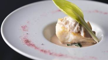 食事・飲み物 / 10