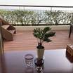 目の前は海が見下ろせます。鉢植えはいつも旅のお供に買ったもの