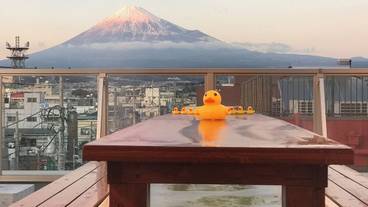 テラス / パティオ / 36