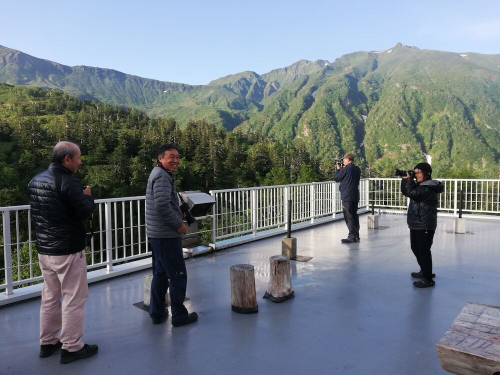 テラス / パティオ