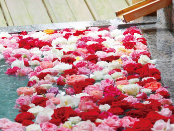 人気温泉・有馬の湯につかる1000輪のバラ風呂3643622