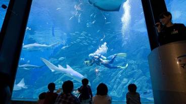 観光スポット / 19