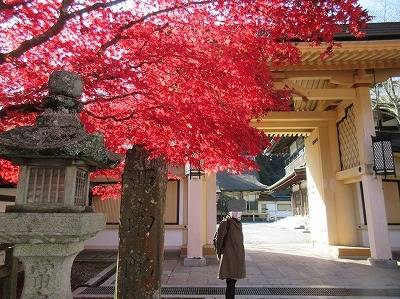 別格本山 西南院（和歌山県 旅館） / 1