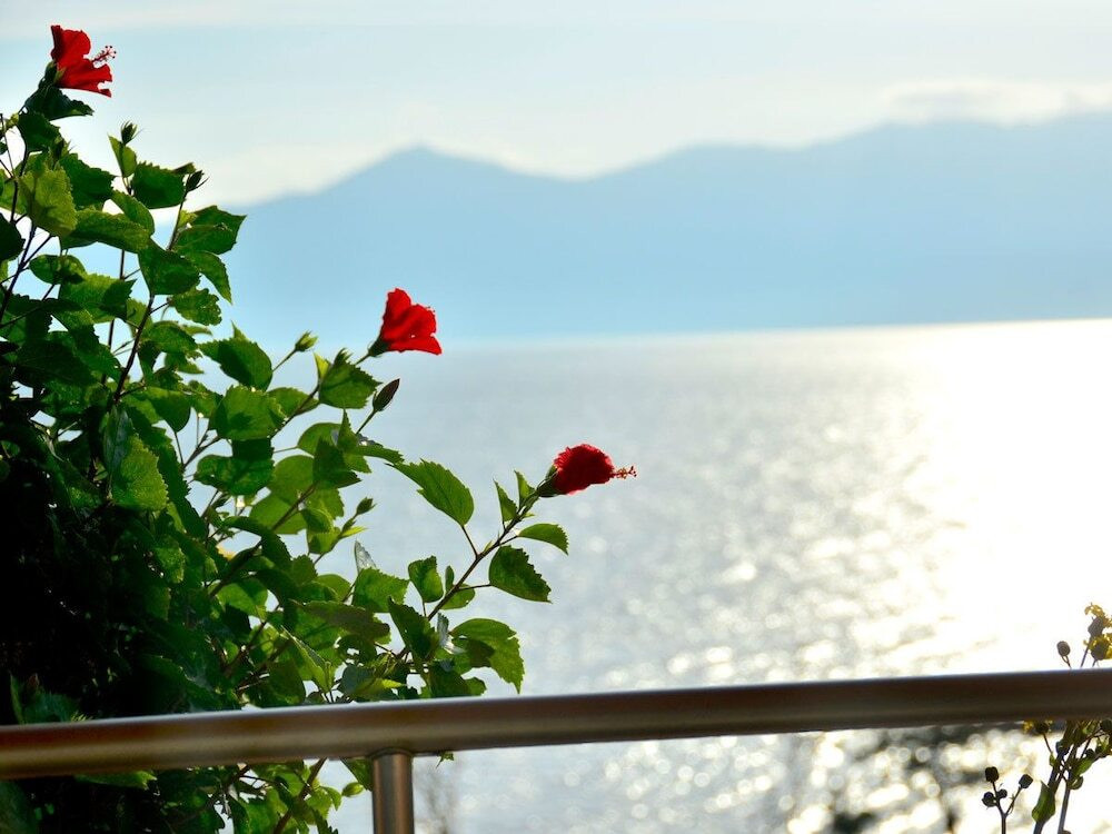 施設からの眺望