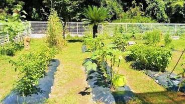 ガーデン ビュー / 4