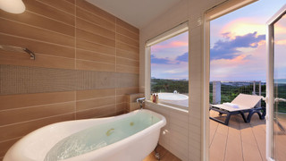 A棟-Presidential V.I.P Suite Pool&Spa-