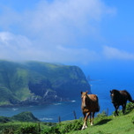 ホースセラピーで癒やしの女子旅へ。乗馬体験がかなうホテル・宿9選／全国