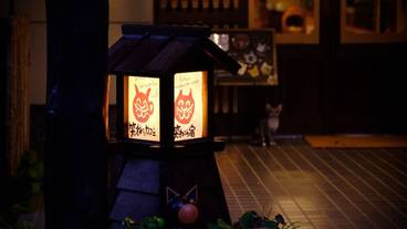 施設の正面 (日没後) / 1