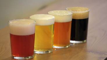 バー (施設内) / 11