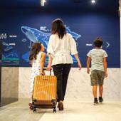 HOTEL ChulaVista SENAGA（ホテルチュラビスタ瀬長）（沖縄県 シティホテル） / 3