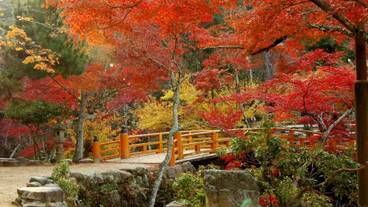 マウンテン ビュー / 38