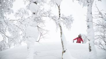 スノー スポーツとスキー / 15