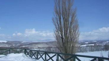 施設からの眺望 / 17