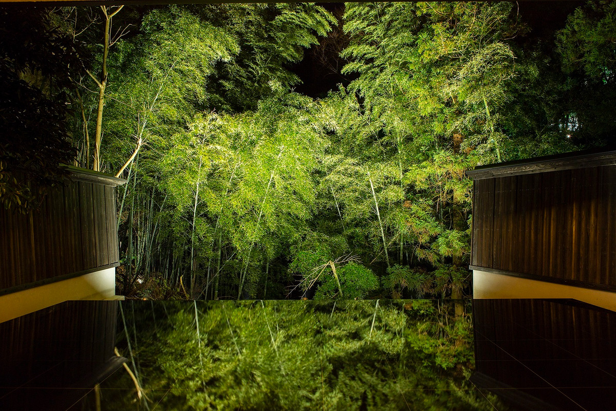 エントランスの竹林(夜)