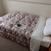 熱田の杜ホテル深翠苑（しんすいえん）（愛知県 ビジネスホテル） / 5