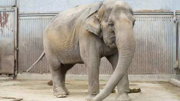 観光スポット / 5